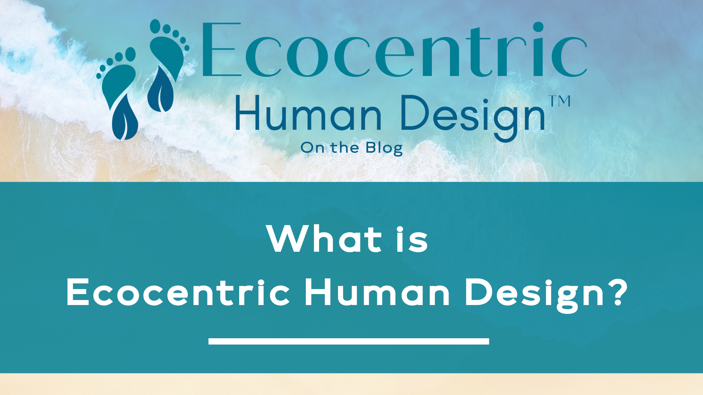 What is Ecocentric Human Design?